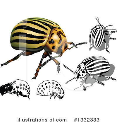 Royalty-Free (RF) Colorado Potato Beetle Clipart Illustration by dero - Stock Sample #1332333