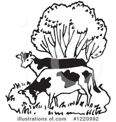 Cow Clipart #1220992 by Picsburg