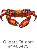 Crab Clipart #1466473 by Vector Tradition SM
