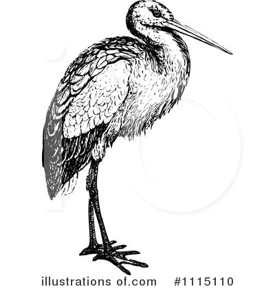 Bird Clipart #1115110 by Prawny Vintage