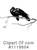 Crow Clipart #1119604 by Prawny Vintage
