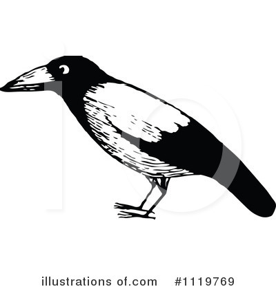Bird Clipart #1119769 by Prawny Vintage