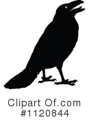 Crow Clipart #1120844 by Prawny Vintage