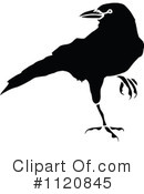 Crow Clipart #1120845 by Prawny Vintage