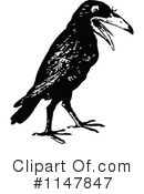 Crow Clipart #1147847 by Prawny Vintage