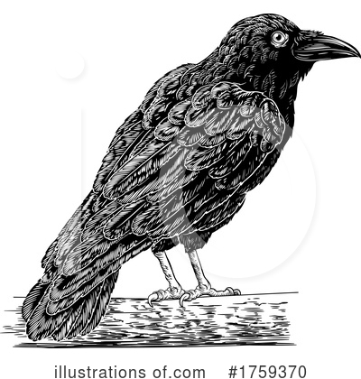 Crow Clipart #1759370 by AtStockIllustration