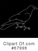 Crow Clipart #67996 by Pams Clipart
