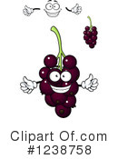 Currants Clipart #1238758 by Vector Tradition SM