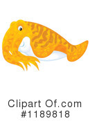 Cuttlefish Clipart #1189818 by Alex Bannykh