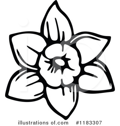 Royalty-Free (RF) Daffodil Clipart Illustration by Prawny - Stock Sample #1183307
