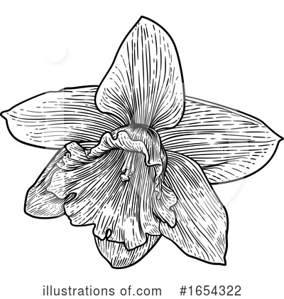 Royalty-Free (RF) Daffodil Clipart Illustration by AtStockIllustration - Stock Sample #1654322