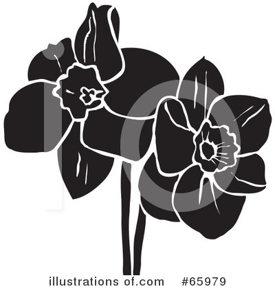 Royalty-Free (RF) Daffodils Clipart Illustration by Prawny - Stock Sample #65979