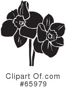 Daffodils Clipart #65979 by Prawny
