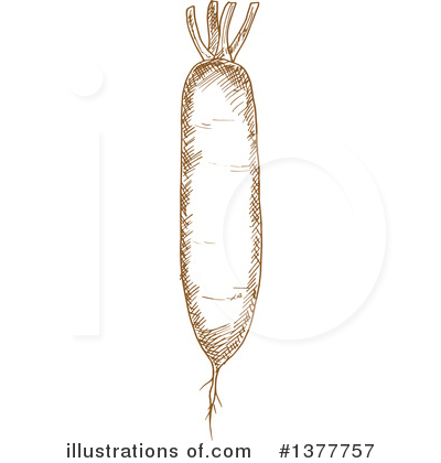 Daikon Radish Clipart #1377757 by Vector Tradition SM