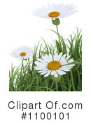 Daisies Clipart #1100101 by KJ Pargeter