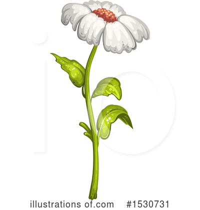 Royalty-Free (RF) Daisy Clipart Illustration by merlinul - Stock Sample #1530731