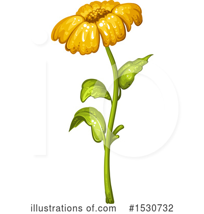 Royalty-Free (RF) Daisy Clipart Illustration by merlinul - Stock Sample #1530732