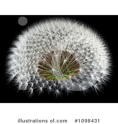 Fibonacci Pattern Clipart #1098431 by Leo Blanchette