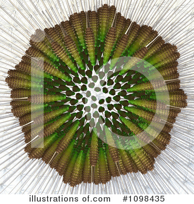Fibonacci Pattern Clipart #1098435 by Leo Blanchette