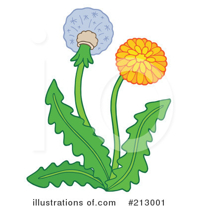 Dandelion Clipart #213001 by visekart
