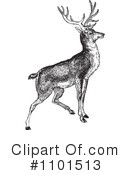 Deer Clipart #1101513 by BestVector