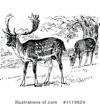 Deer Clipart #1119624 by Prawny Vintage