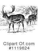 Deer Clipart #1119624 by Prawny Vintage