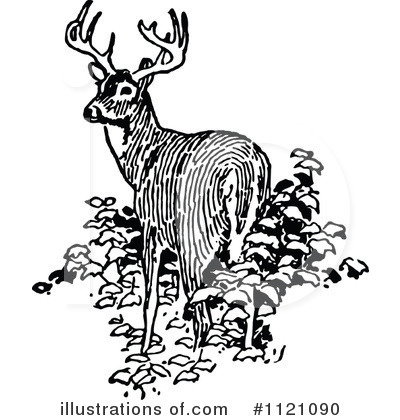 Deer Clipart #1121090 by Prawny Vintage