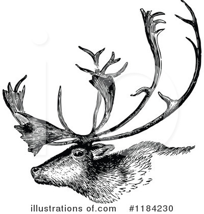 Deer Clipart #1184230 by Prawny Vintage