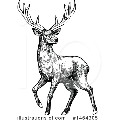 Royalty-Free (RF) Deer Clipart Illustration by Vector Tradition SM - Stock Sample #1464305
