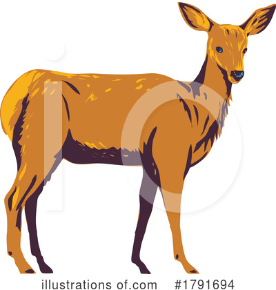 Deer Clipart #1791694 by patrimonio