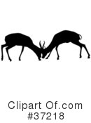 Deer Clipart #37218 by dero