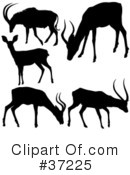 Deer Clipart #37225 by dero