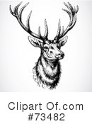 Deer Clipart #73482 by BestVector