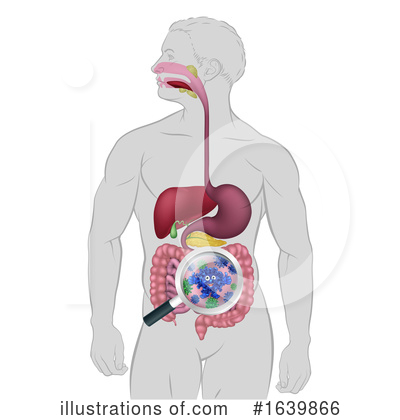 Intestines Clipart #1639866 by AtStockIllustration