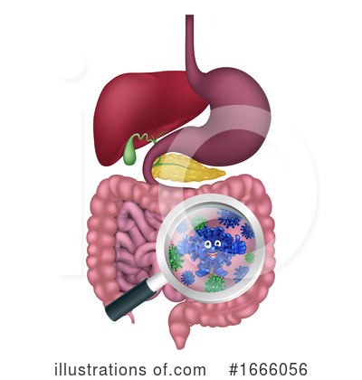 Digestive System Clipart #1666056 by AtStockIllustration