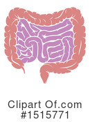 Digestive System Clipart #1515771 by AtStockIllustration