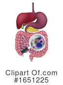 Digestive System Clipart #1651225 by AtStockIllustration