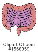 Digestive Tract Clipart #1568359 by AtStockIllustration