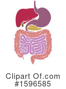 Digestive Tract Clipart #1596585 by AtStockIllustration
