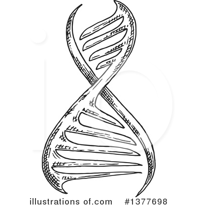 Royalty-Free (RF) Dna Clipart Illustration by Vector Tradition SM - Stock Sample #1377698