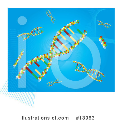 Dna Clipart #13963 by Rasmussen Images