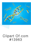 Dna Clipart #13963 by Rasmussen Images