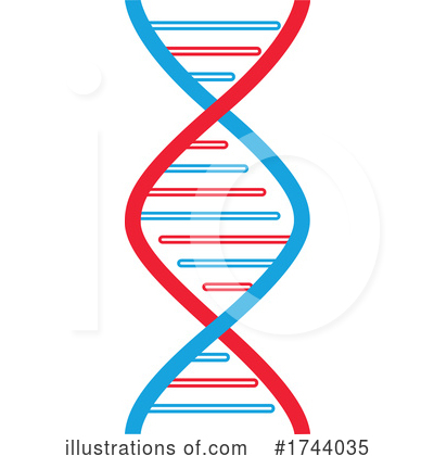 Dna Clipart #1744035 by Vector Tradition SM