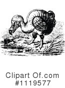 Dodo Bird Clipart #1119577 by Prawny Vintage
