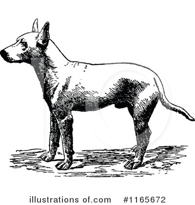 Bull Terrier Clipart #1165672 by Prawny Vintage