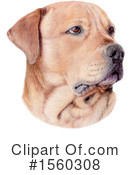 Dog Clipart #1560308 by Maria Bell