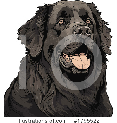 Newfoundland Clipart #1795522 by stockillustrations