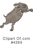 Dog Clipart #4369 by djart