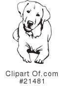 Dogs Clipart #21481 by David Rey